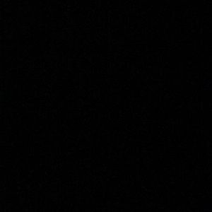 Meet your Posher, Eva